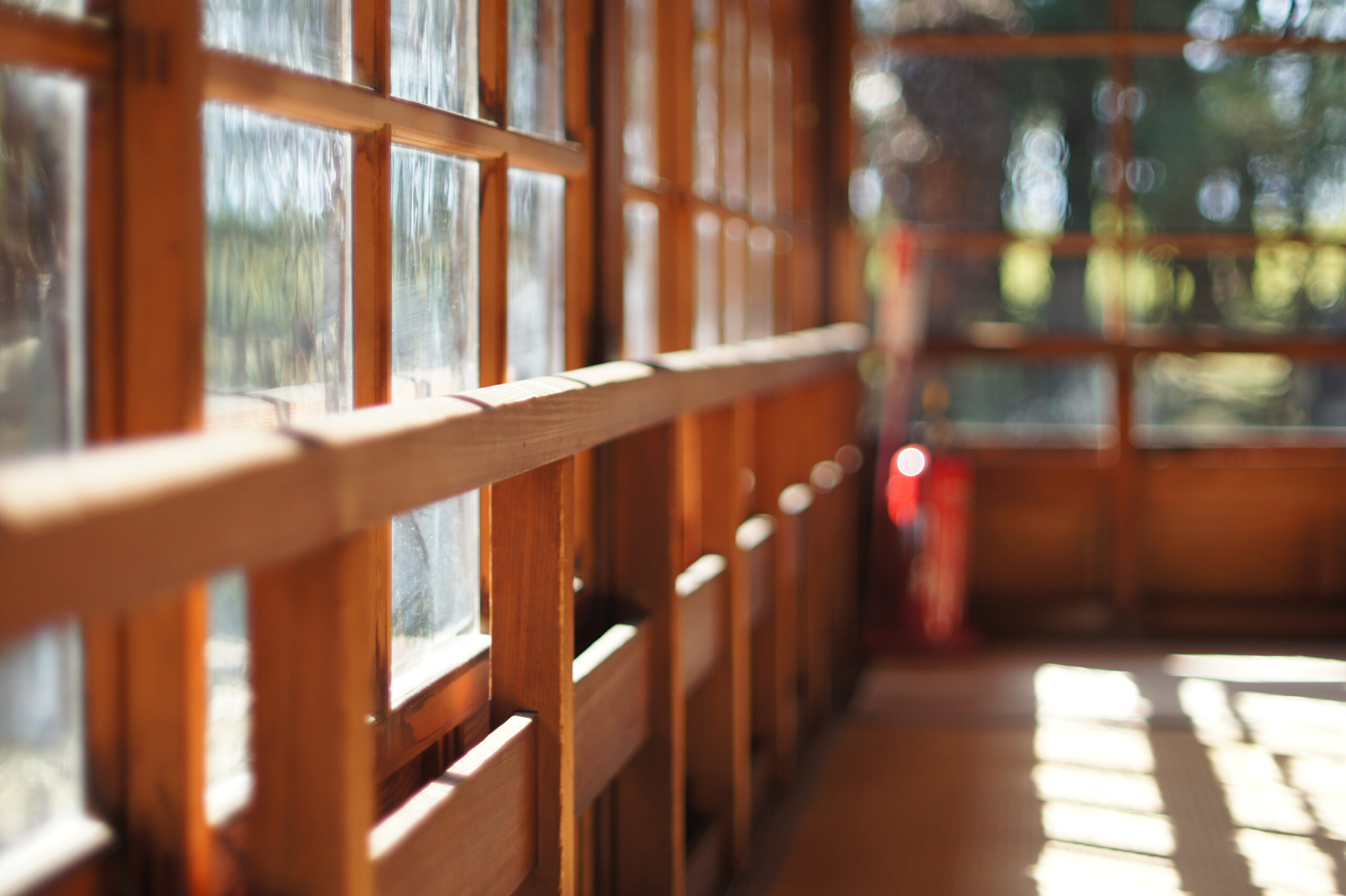 Canon FD 50mm F1.4 S.S.Cでの実写 - OLD LENS LAB